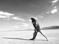 Nina Burri Nude Picture Gallery