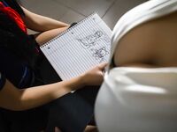 Ale Tanooki Nudes Set