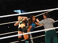 AJ Lee New Nude Photos