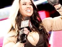 AJ Lee New Nude Photos