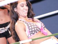 AJ Lee New Nude Photos