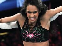 AJ Lee New Nude Photos