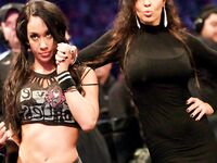 AJ Lee New Nude Photos