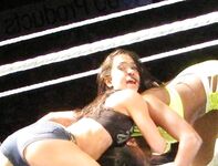 AJ Lee New Nude Photos