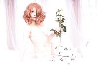 Megumi Koneko Patreon Leak Set