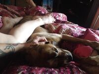 Danielle Colby Patreon Leaked