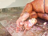 Danielle Colby Patreon Leaked