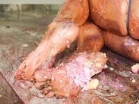 Danielle Colby Patreon Leaked