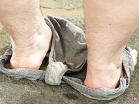 Cece Lachey - ATK Hairy