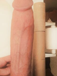my dick is as big as a paper towel insert