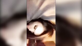 Rainey James Snapchat Exclusive Leaked Porn Video