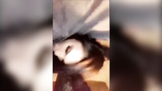 Rainey James Snapchat horny porn video