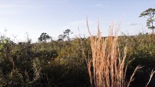 Livstixs Twitch Hot Nude Video