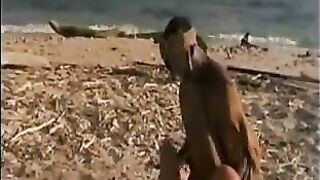 Annj Goren From 'porno Holocaust'