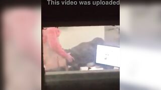 University Of Arkansas Professor Caught Having Sex With Student In Classroom