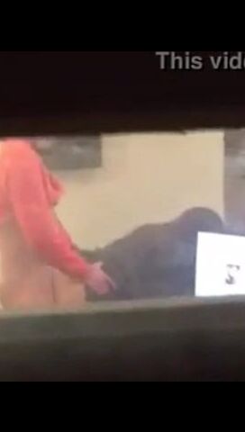 University Of Arkansas Professor Caught Having Sex With Student In ...