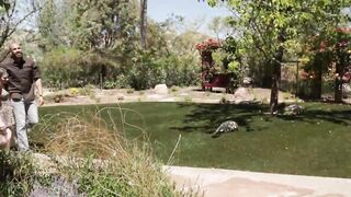 Sharing Her Daught3r