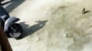 Desi Cousins Romance