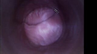 Kira - Kinky Selfie (endoscope Pussy Cam Video)