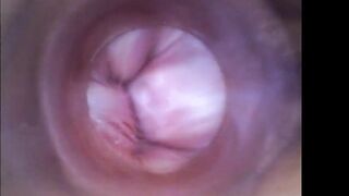 Kira - Kinky Selfie (endoscope Pussy Cam Video)