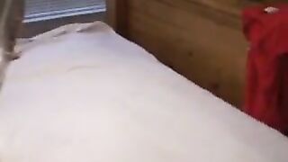 Wife Gab Does With 2 Black Guys