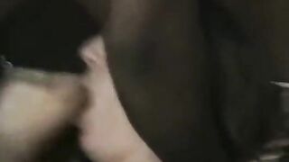 Interracial Groupsex