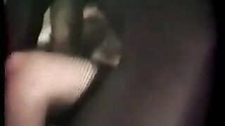 Cuckold Archive My Wife Fucking Big Black Cocks When I Watch