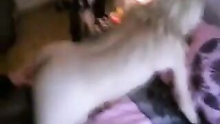 Having Sex With A Fit Blonde Wife