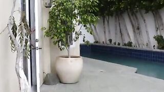 Bailey Brooke Natasha Starr