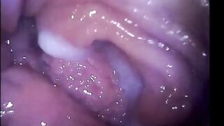 Sensational Girl Getting Filmed Inside Of Her Pink Vagina While She Cum