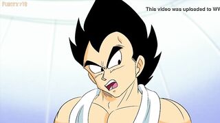 Dragon Ball Parody Hentai Bulma X Vegeta