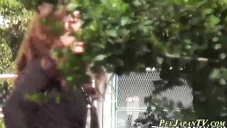 Publicly Peeing Japanese