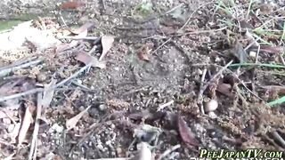 Publicly Peeing Japanese