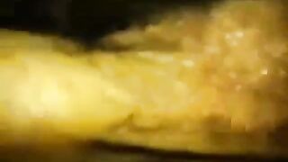 Real Amatuer Wife Sharing