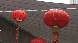 French Asian Big Boobs.