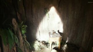 Ellen Page Nude/topless In Tallulah And Into The Forest