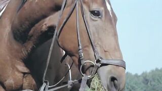 Come Play With Me 2 - 1980 (restored)