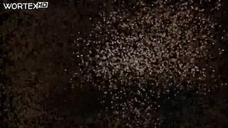 Young Teen Veronica Bdsm Orgasm (full Hd)