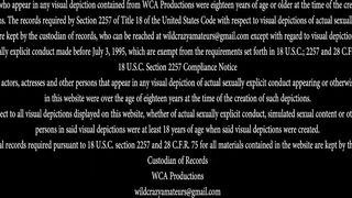 Impregnating My Brothers Wife Rebecca Vanguard