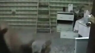 Sex Arab Saudia Woman Big Ass Fuck Sudan Man Bbc Part 1