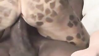 Huge, Huge, Huge Black Cock...