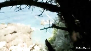 Thesandfly Sexed-up On Shores!