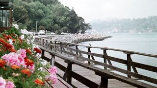 No Sympathy For The Devil 2