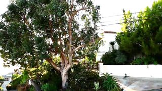 Nerd Loses Lesbian Virginity