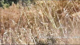 Doggy Style For Voyeurs