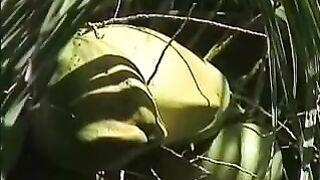 Scuba Sex (part 1 Of 2)