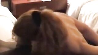 Truly A Devoted Wife For Deep, Black Insertion...