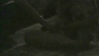 Midnight Sexual Intercourse