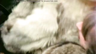 Blondes Humides (1978)