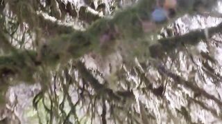 Naomi Watts Cheating Her Husband